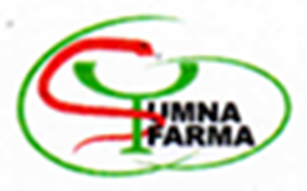 Logo Nama Mitra 4